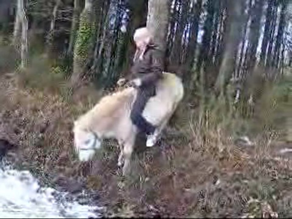 SansTitre_0001