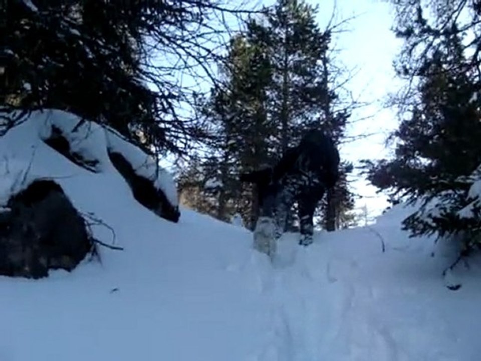 Rando neige