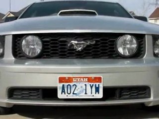 Stack Racing Upper Grille 05-09 Mustang kit