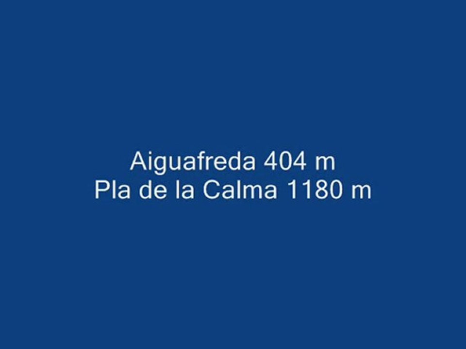 PLA CALMA V3