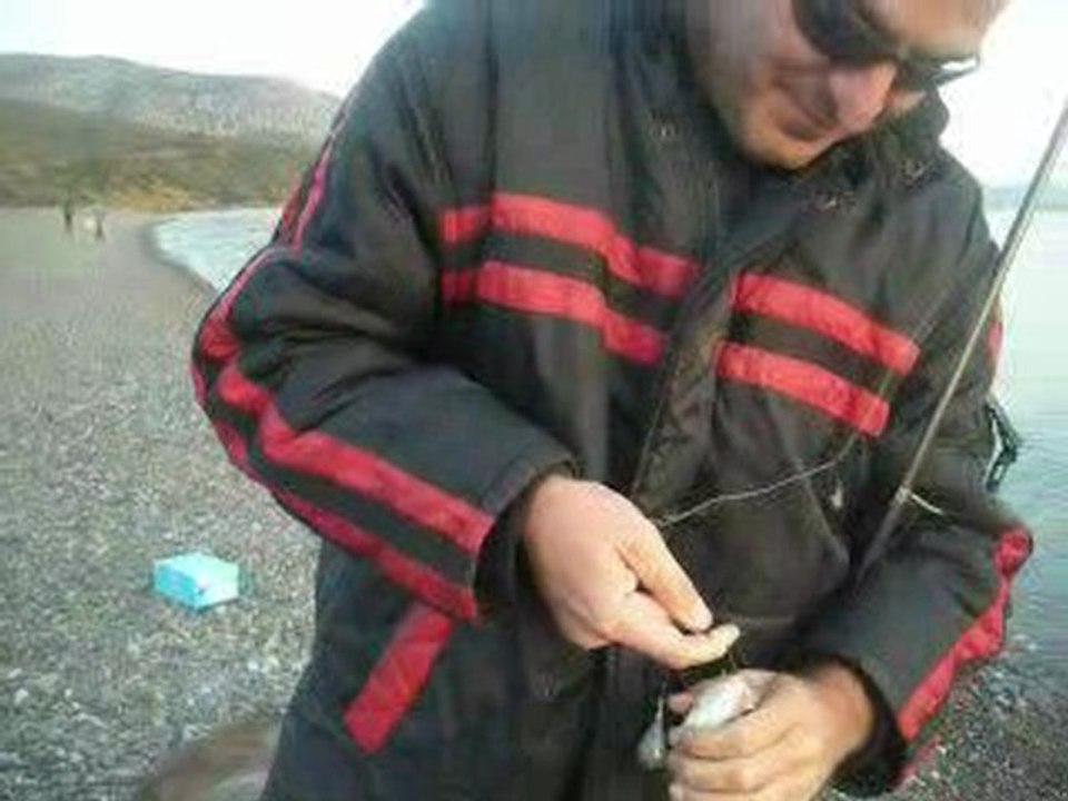 SERKAN KARINCA nın (discus) mercanı