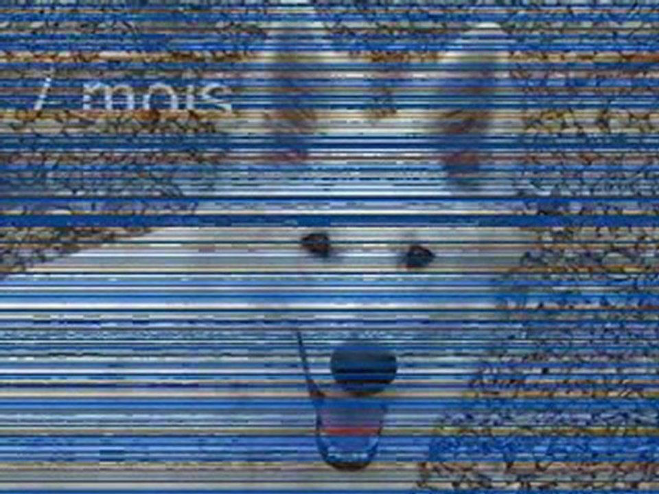 diapo 15janv