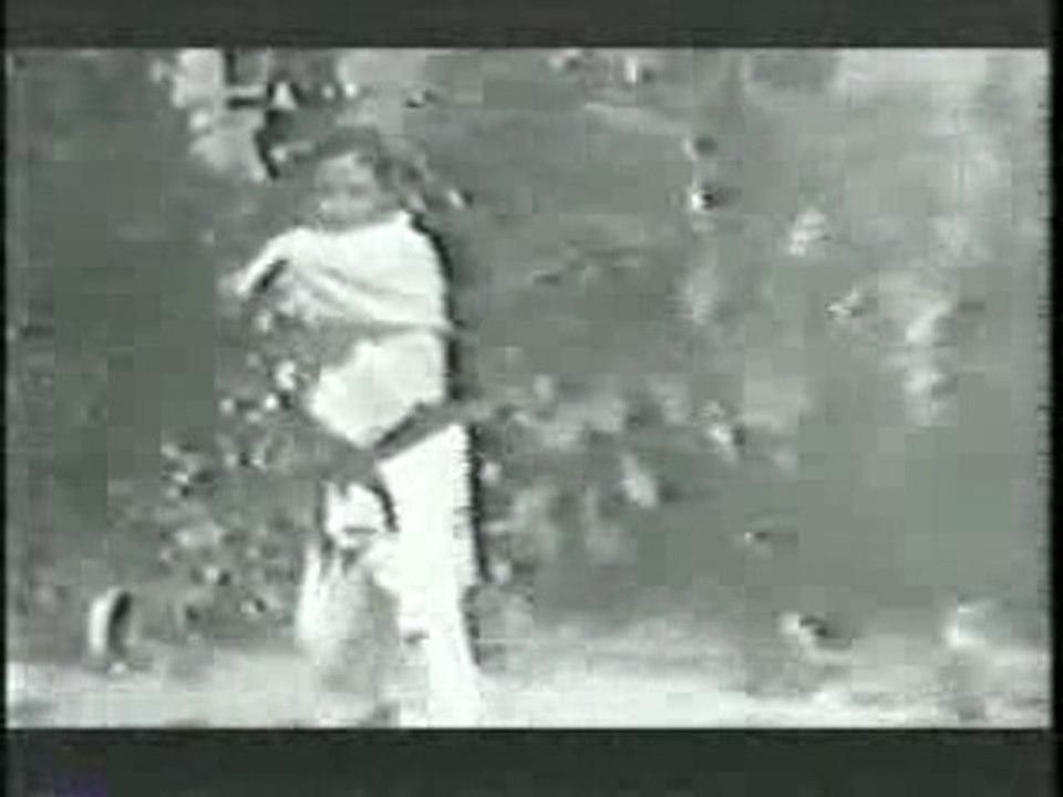 Warrior Pages: Taira Shinken Nunchaku Kata