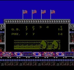 2010 NFL Playoffs - Tecmo Style! Green Bay vs Phoenix
