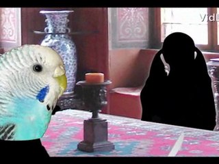 The Sweetness at the Bottom of the Pie Alan Bradley ...