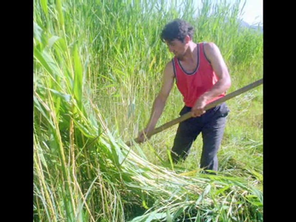 bitlis güroymak gölbaşı kasabası