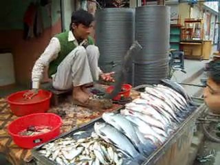 Le poissonnier de Kathmandou