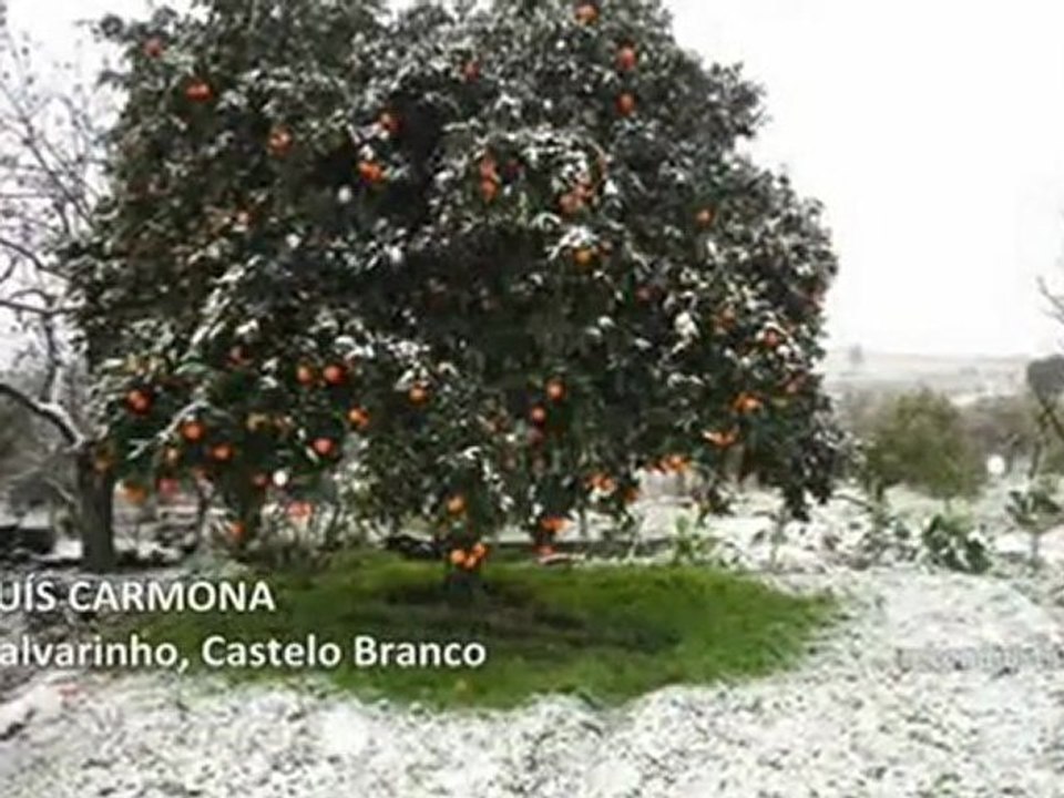 Region de Castelo Branco sous la neige