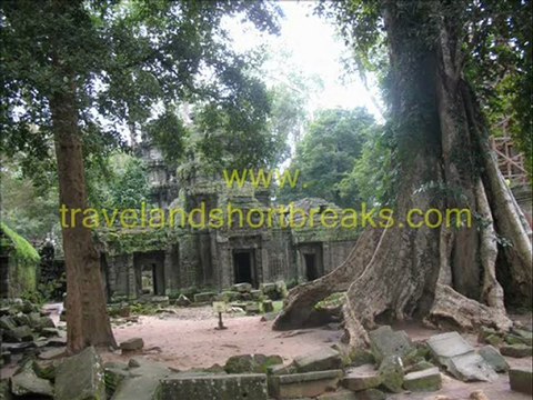 Ta Prohm Temple Siem Reap Cambodia