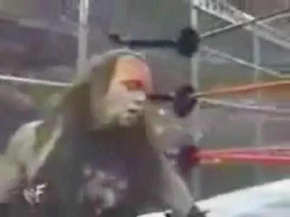 UNDERTAKER VS BIG BOSSMAN