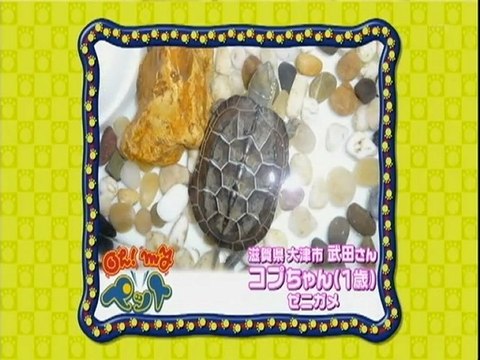 スキマでジャルジャル(2009.10.17)