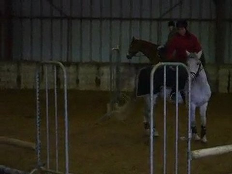 Isis, saut d'obstacle - cours du 15/o1/1o