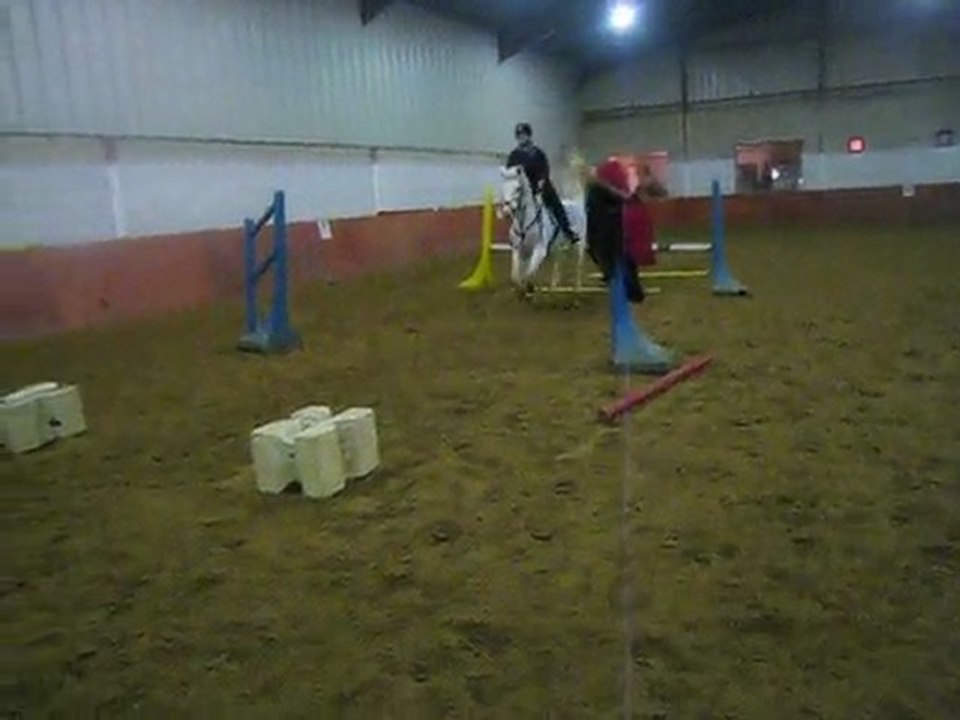 13 Janvier 2010 (4)