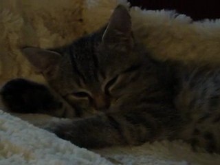 Hernesto 2 mois 160109