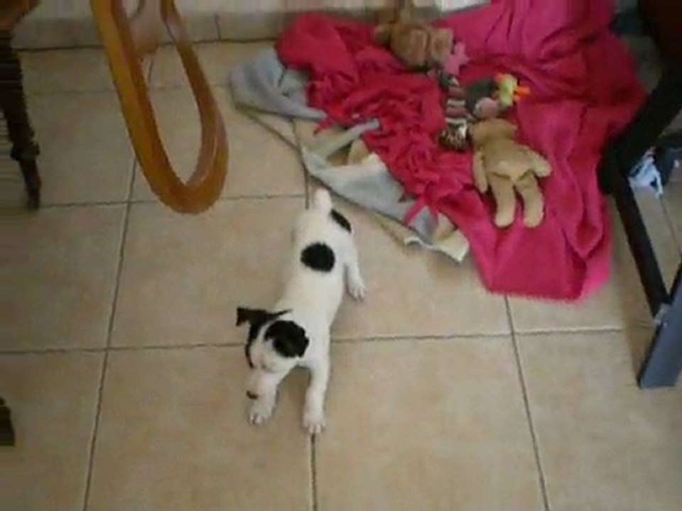 endy