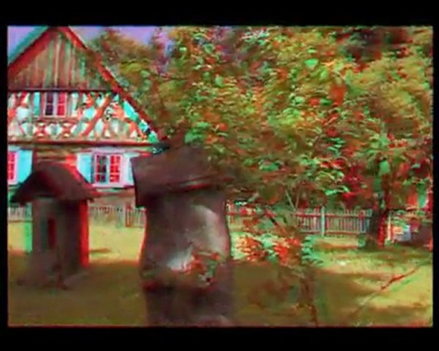 3d Forest 3d orman