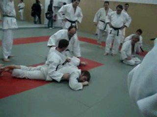 De juji à Clé omoplate