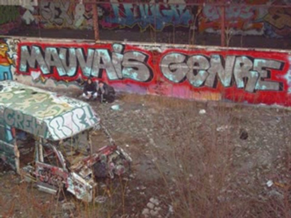 Mauvais Genre feat. Reeno & Nacedo - Sauvage