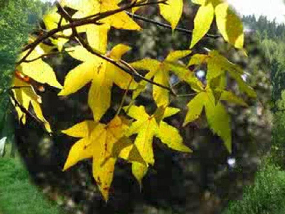AU FIL DES SAISONS