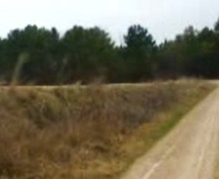 chemin de coupéville seb et guillaume pit bike susuki 50rm