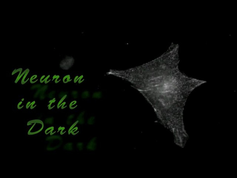 Neurone in the dark