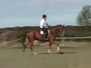 Variations d'allure galop (Kenora sf 10 ans))