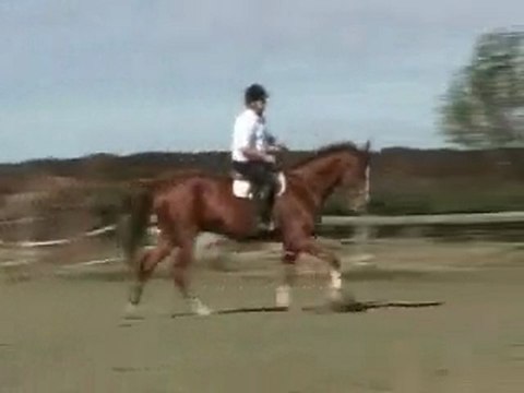 Variations d'allure galop (Kenora sf 10 ans))