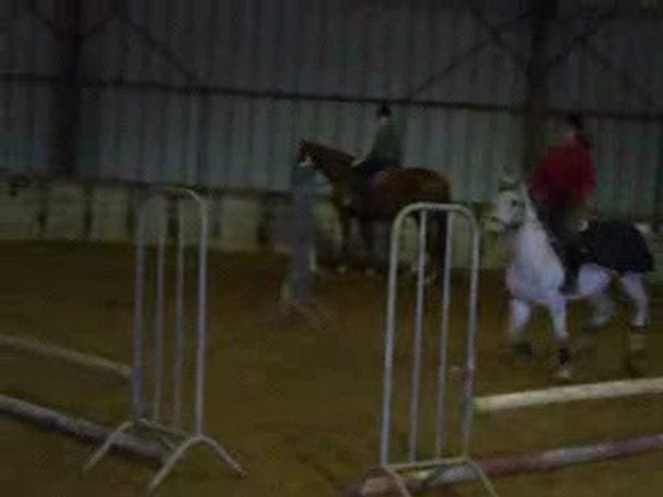 Isis, saut d'obstacle - cours du 15/o1/1o