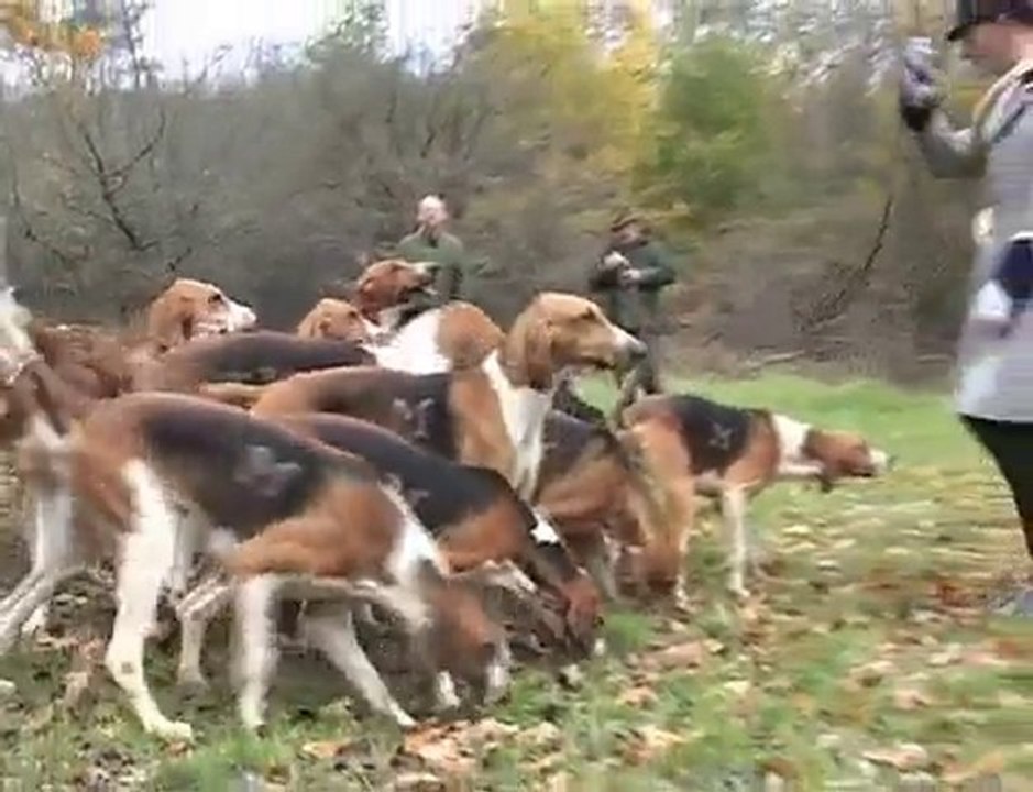 équipage piqu'avant bourgogne