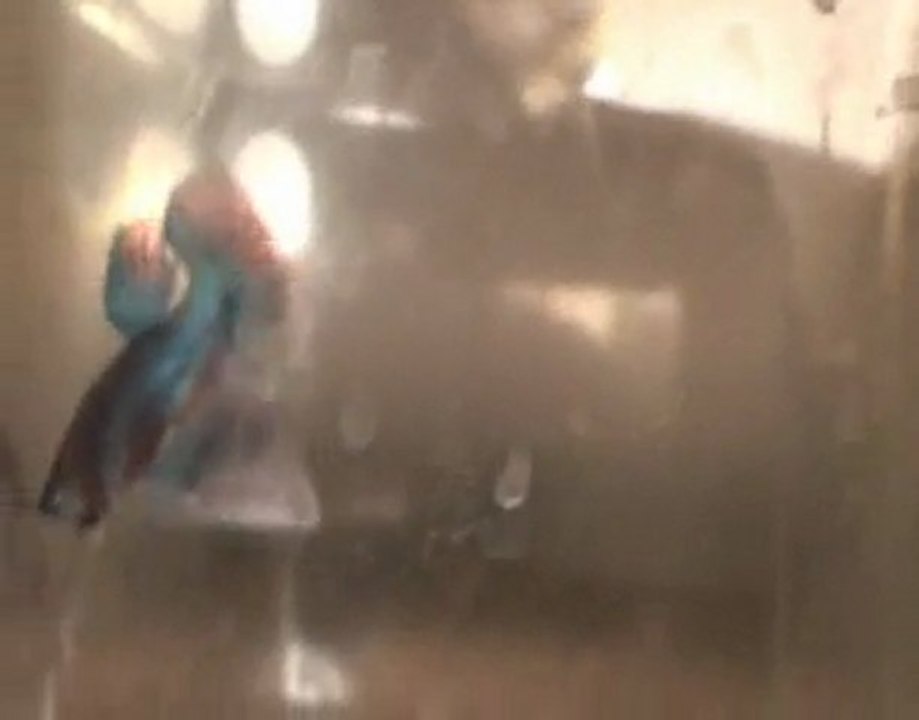 Betta splendens bleu/jaune  souche X/Suporn 16 10 10.