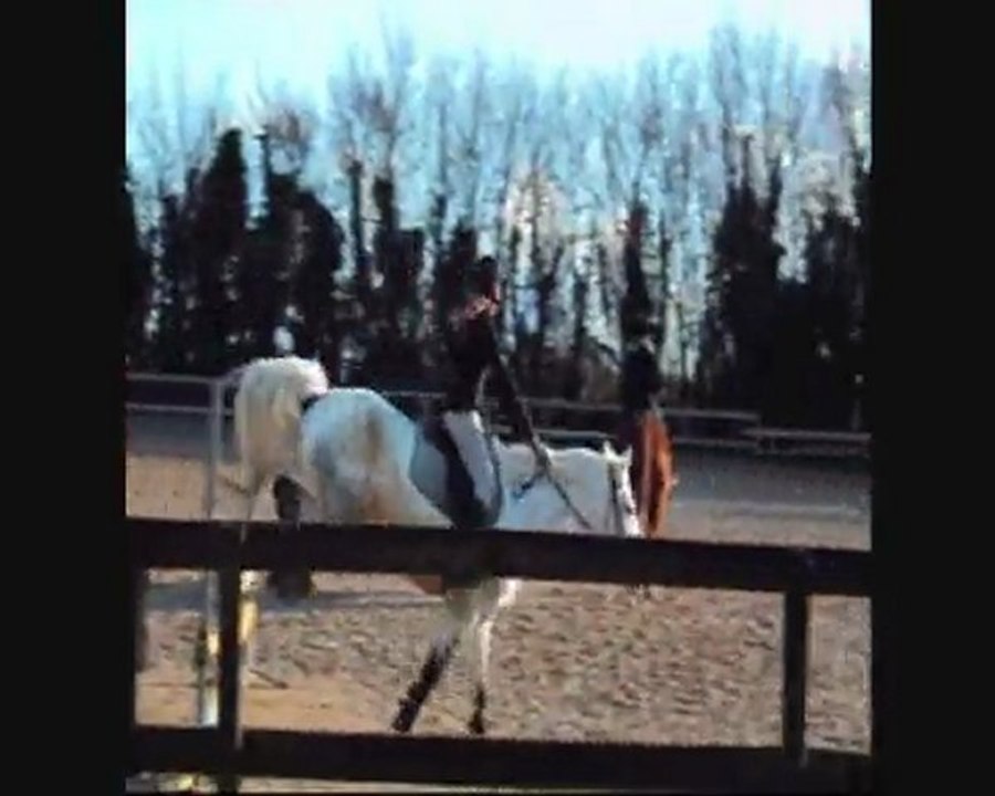 Origan D'avel , vertical.