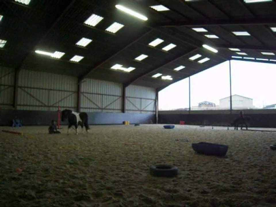 Jeux a cru avec les poneys = 4  Chutes