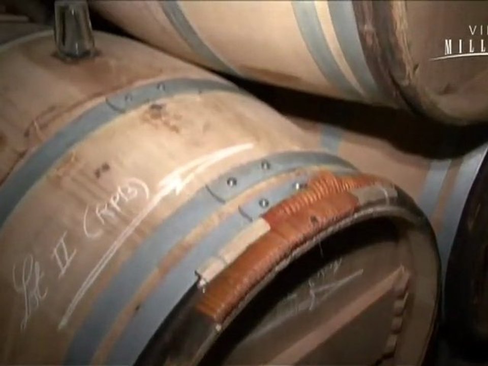 Vidéo du Château d'Yquem Sauternes