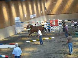 S fille de flipper d'elle: modèle et allure 3 ans