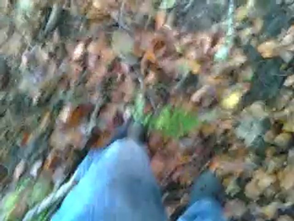 moi loic djo