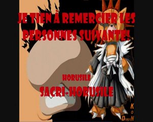 Dofus cra feu busay