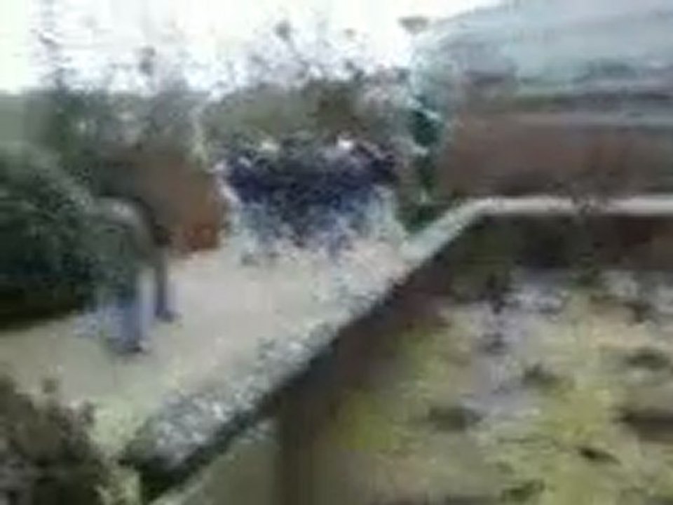 Cortège Angevins Angers-Guimgamps