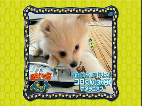 スキマでジャルジャル(2009.12.5)