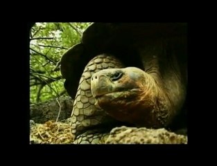 Dechiffrer les mystères de la vie( 1)