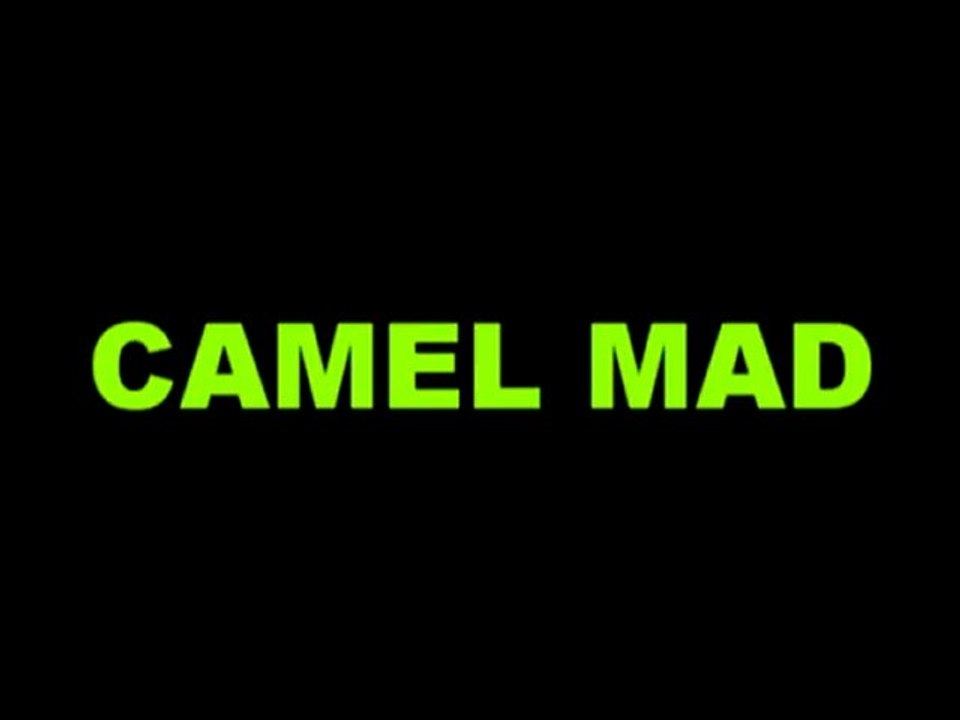 Camel mad video 1