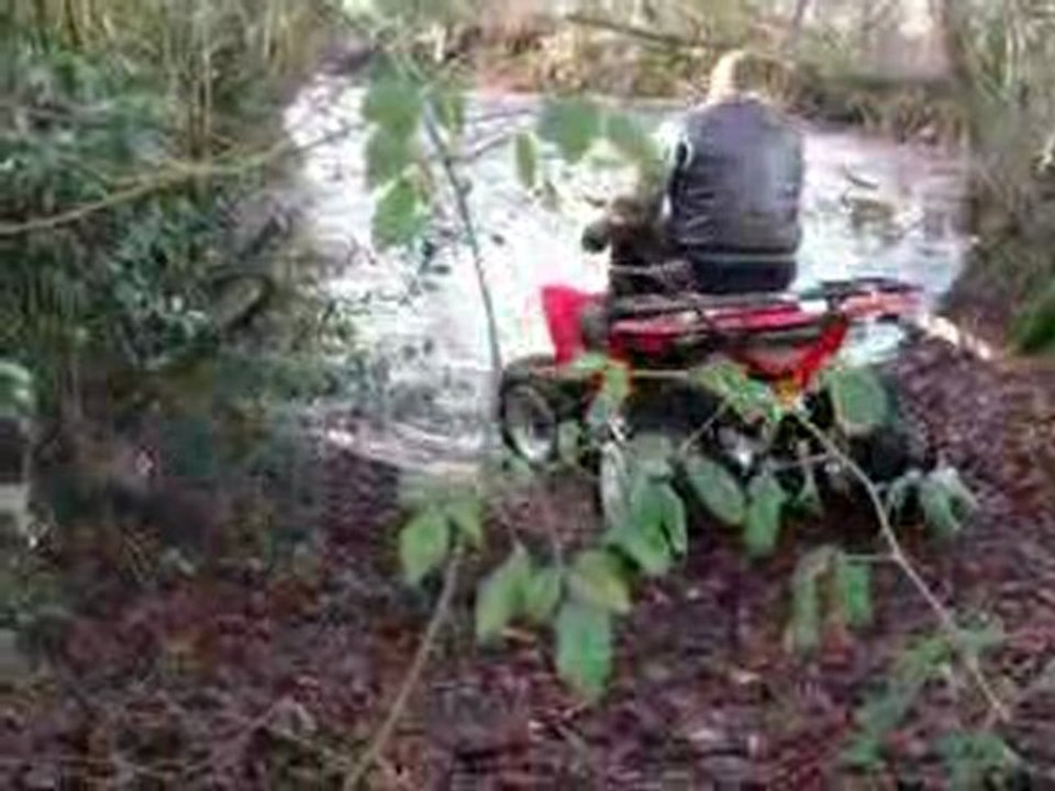 quad 595