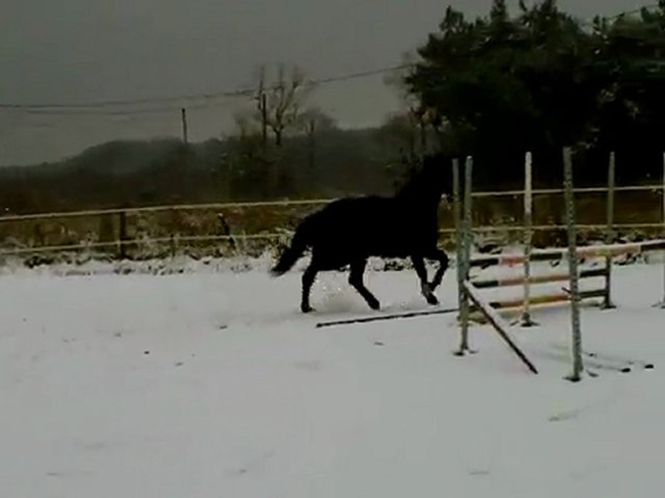 mec de berni dans la neige