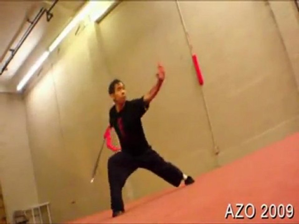 L'homme le plus talentueux du monde - Un Ninja Moderne