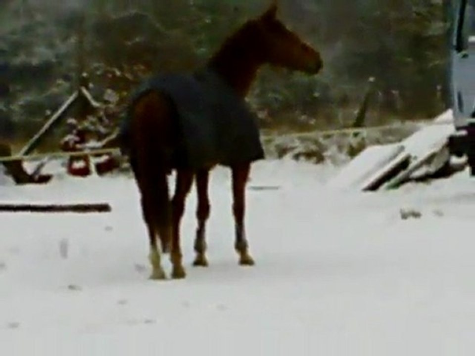 lord dans la neige