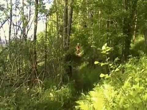 Session DH Printemps 2009