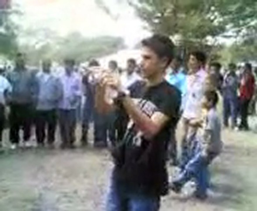 2008 senlik HaLay