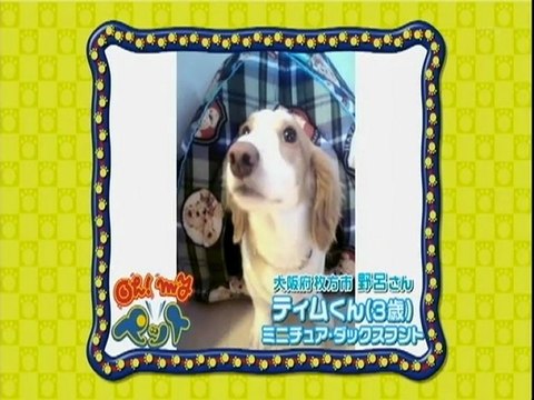 スキマでジャルジャル(2009.12.12)