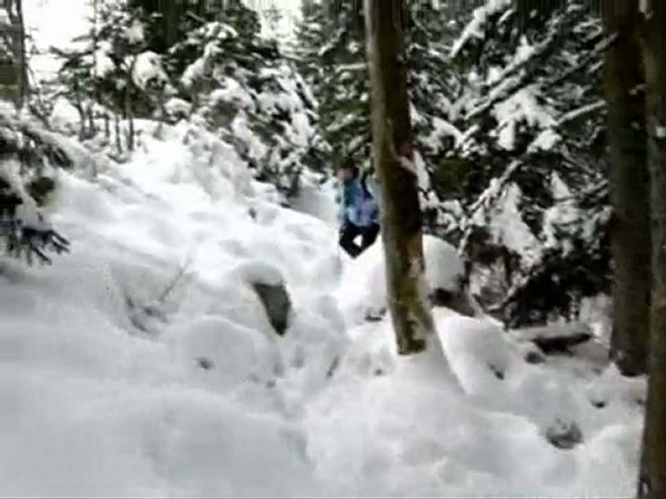 Raquettes chartreuse 16 janv 2010