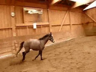 Travail en liberte le 17-01-2010