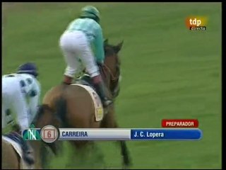 2010.01.17, nº 11 DH (Jayasur (3a, C) CARREIRA